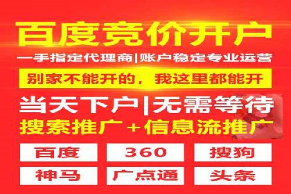 某SEM公司广告投放案例：创新广告形式的探索与实践